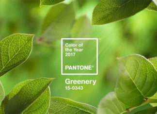 5 причин, по яких ми не можемо розлучитися з речами