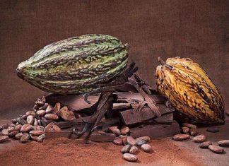 Шоколад як спеція.