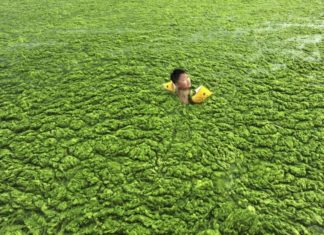Екологічний апокаліпсис в Китаї.
