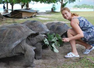 Подарунок з Сейшелл.