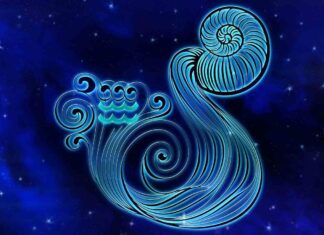 Що чекає водоліїв в рік щура: докладний гороскоп по всіх сферах життя