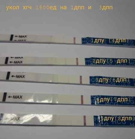 Вихід уколу хгч 1500ед