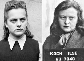 Вбивці з ангельськими особами: історії найжорстокіших наглядачок концтаборів