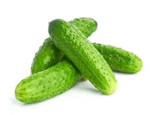 Огірки при вагітності-свіжі, солоні мариновані, користь і протипоказання