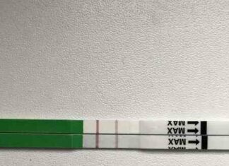 Овуляція під ?