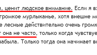 Норвезька лісова кішка: історія породи, характер, конституція тіла, зміст, відгуки власників