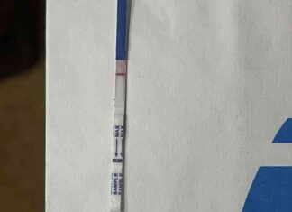 Тест 10 дпо є шанс чи ні?