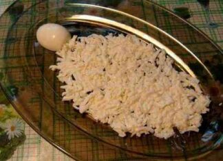 Салат черепаха – класичний рецепт приготування з куркою, яблуком і волоськими горіхами