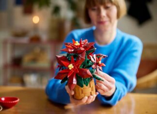 Рождественский шарм в кубиках: Lego дарит ботанические шедевры