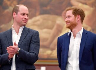 Королевская Уклонение: Как принцы Уильям и Гарри Избежали Лабиринтов Скандала “Дидди”