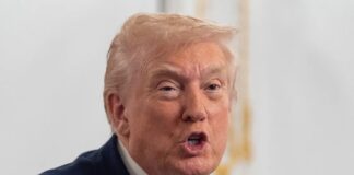 Адміністрація Трампа додала день народження президента до списку днів безкоштовного входу в національні парки, вилучивши Мартіна Лютера Кінга та День Юнітіна