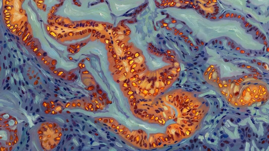 81518655-6d6e-439e-8354-92ceaf8029be