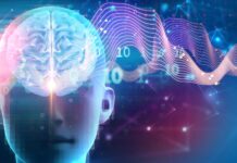 Прихована сила сну: як мозкові ланцюги контролюють зростання м’язів, спалювання жиру та когнітивні функції