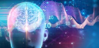 Прихована сила сну: як мозкові ланцюги контролюють зростання м’язів, спалювання жиру та когнітивні функції