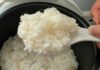 Why Koshihikari Rice is the Premium Short-Grain Staple Pros Use